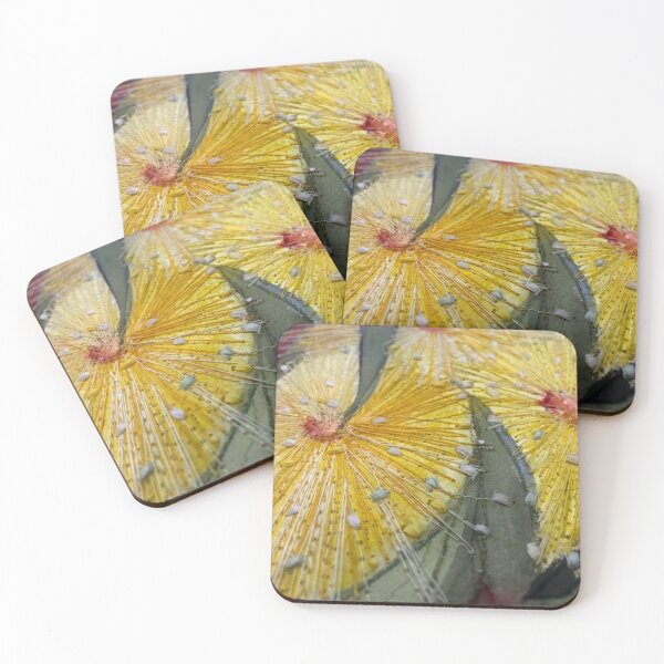Item preview, Sunshine Yellow Gum Flowers  designed and sold by leahgay.