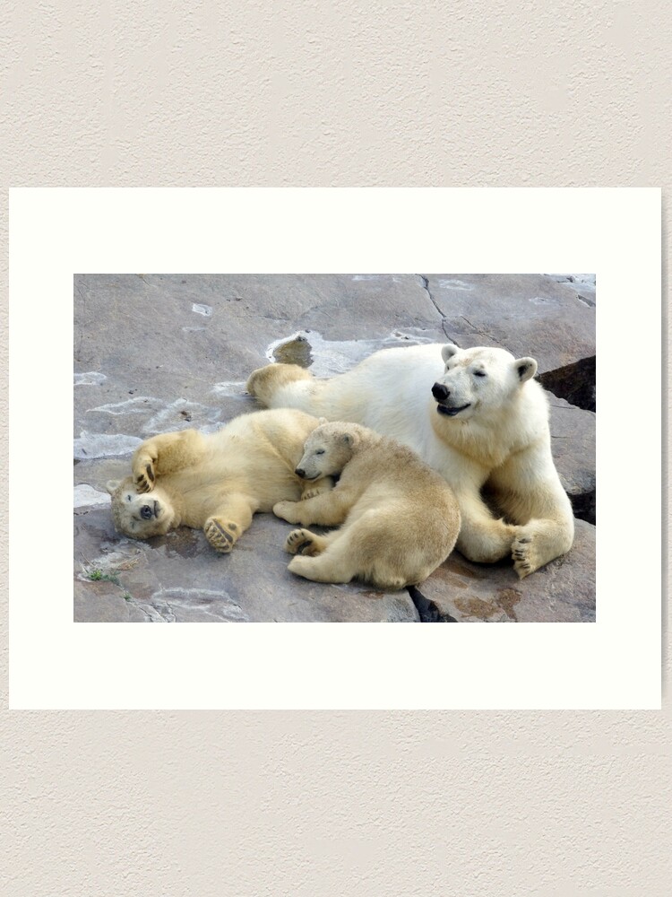 Alternate view of Happy nappy polar bear family Art Print