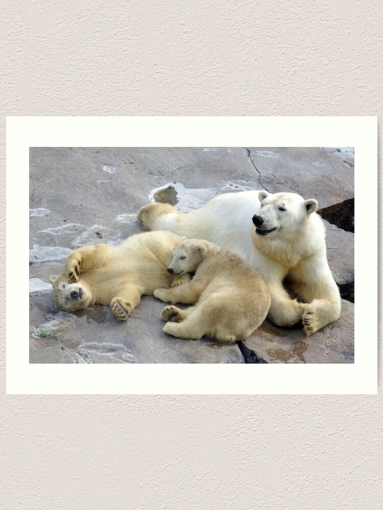 Alternate view of Happy nappy polar bear family Art Print