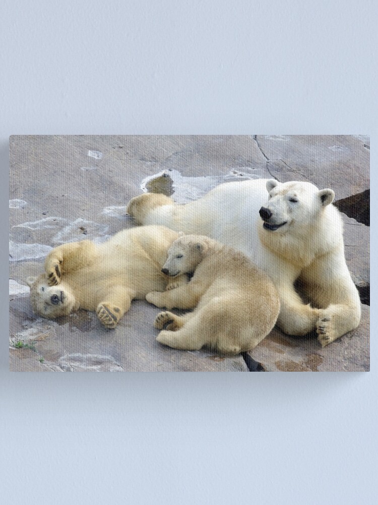 Alternate view of Happy nappy polar bear family Canvas Print