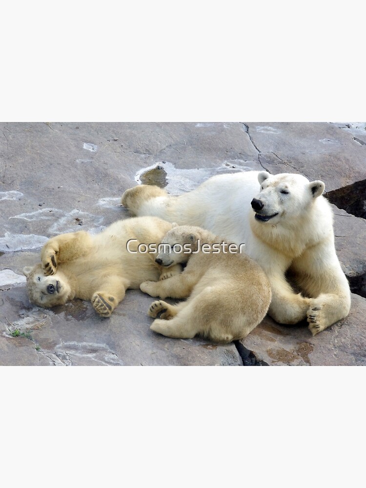Happy nappy polar bear family by CosmosJester