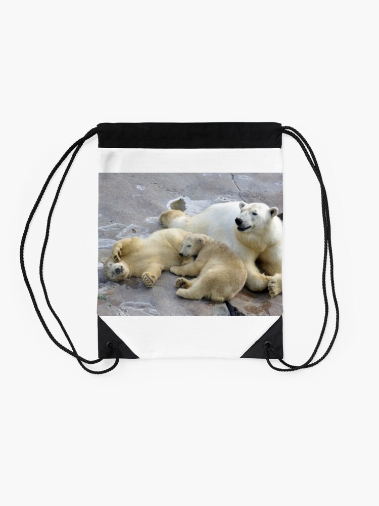 Alternate view of Happy nappy polar bear family Drawstring Bag