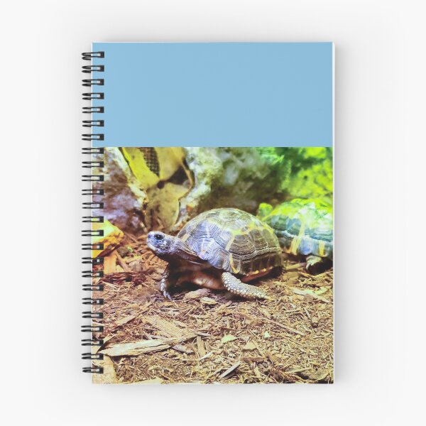 Item preview, Cute Little Happy Indian Star Turtle Tortoise designed and sold by Sirieht.