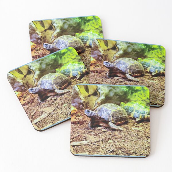 Item preview, Cute Little Happy Indian Star Turtle Tortoise designed and sold by Sirieht.