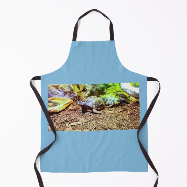 Item preview, Cute Little Happy Indian Star Turtle Tortoise designed and sold by Sirieht.