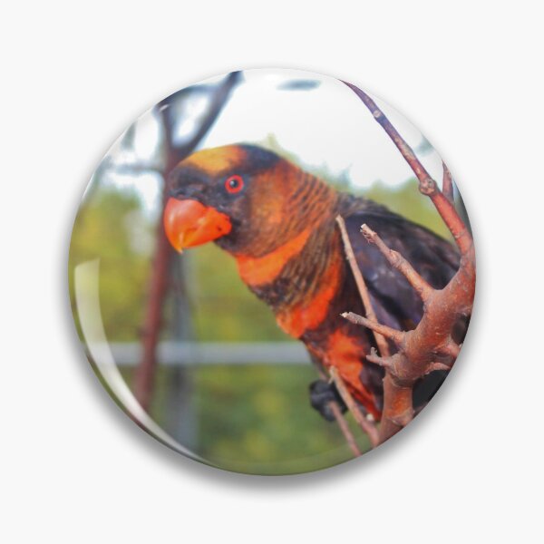 Item preview, Dusky Lory designed and sold by Cynthia48.