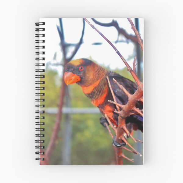Item preview, Dusky Lory designed and sold by Cynthia48.