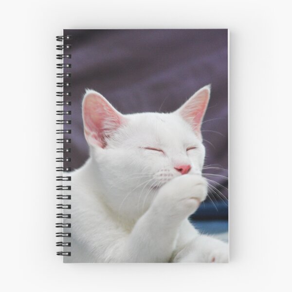 Item preview, A Cute White Kitten with Pink Ears and Nose designed and sold by CharWilcox.