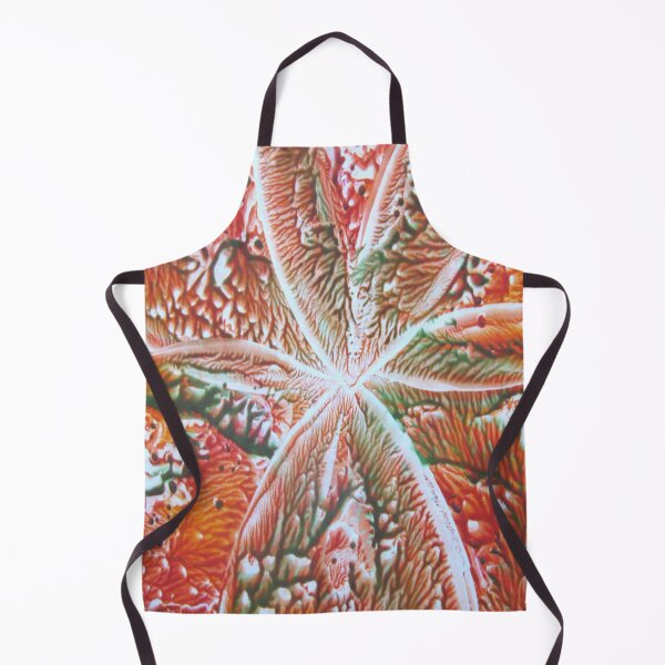 Item preview, Floral Sunburst designed and sold by Dallas Manicom.
