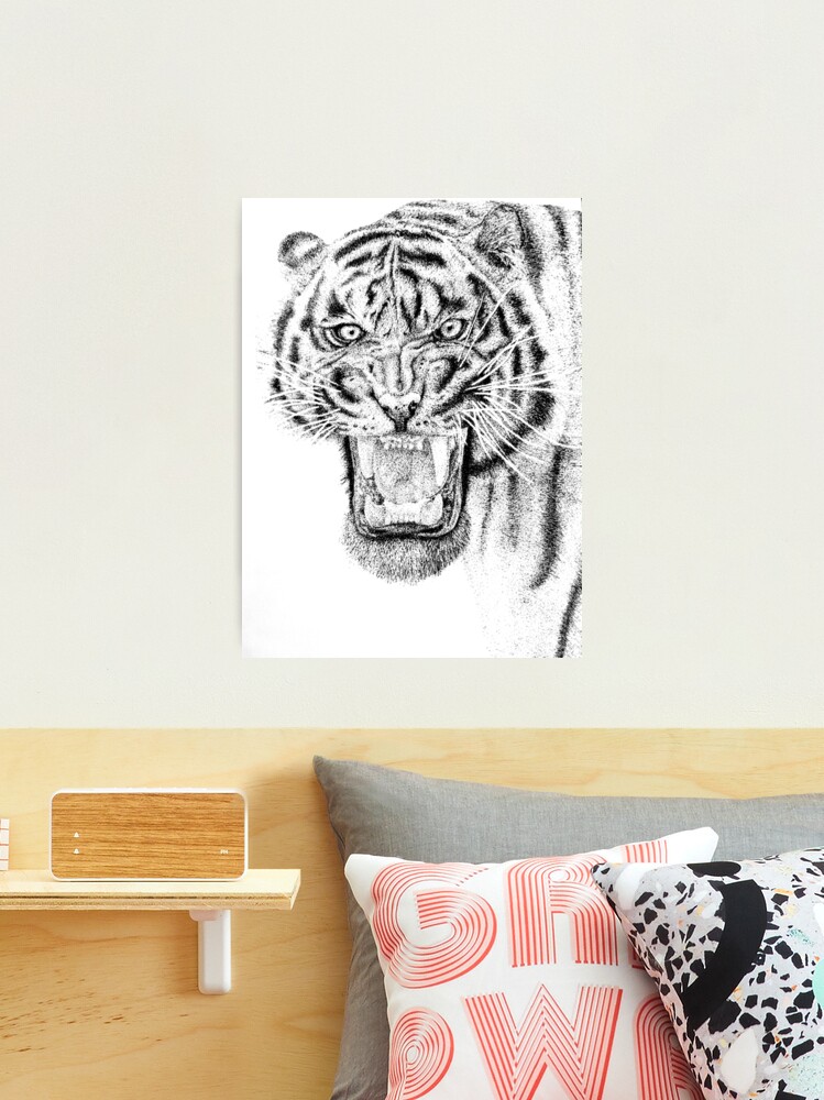 Tiger Pen and Ink Stipple Drawing Art Board Print for Sale by