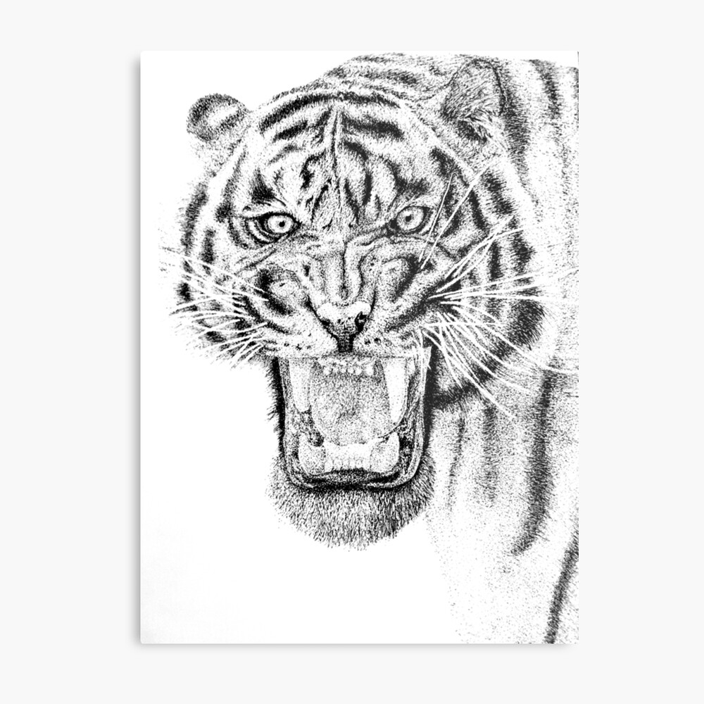 Sitting Tiger Ink Sketch, Ink Drawing, Pen and Ink, Black and White, Fine  Art Print, Giclee, Original Art, Animal, Cat -  Denmark