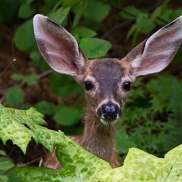 Spotted fawn body clearance pillow