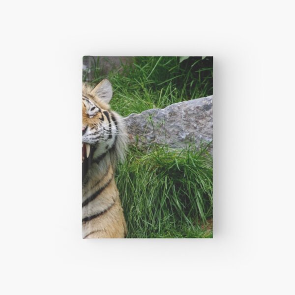 yawning tiger 1 Hardcover Journal