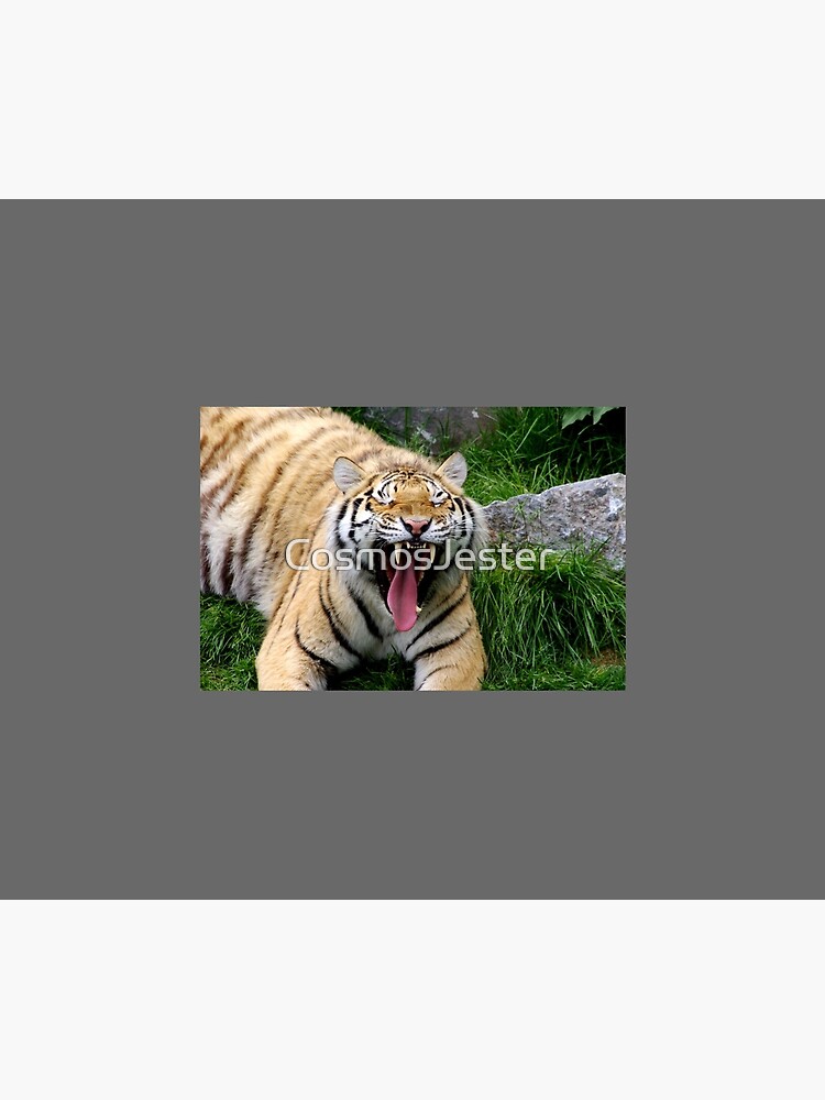 yawning tiger 1 by CosmosJester