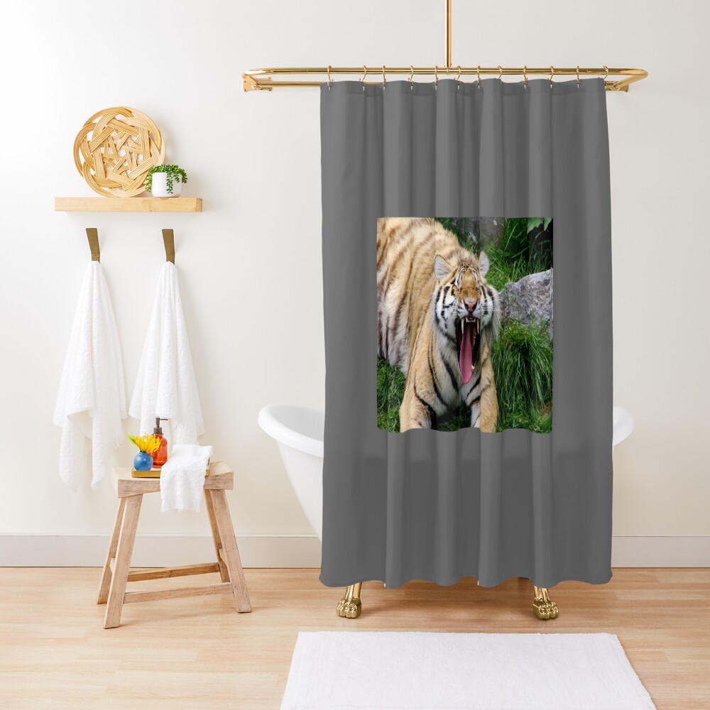 yawning tiger 1 Shower Curtain