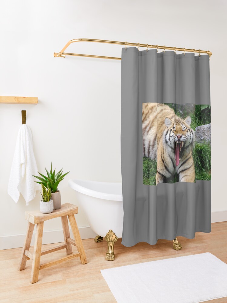 Alternate view of yawning tiger 1 Shower Curtain