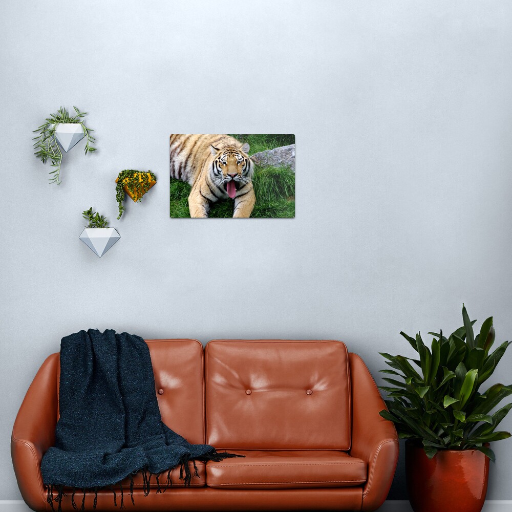 Ahego tiger Metal Print