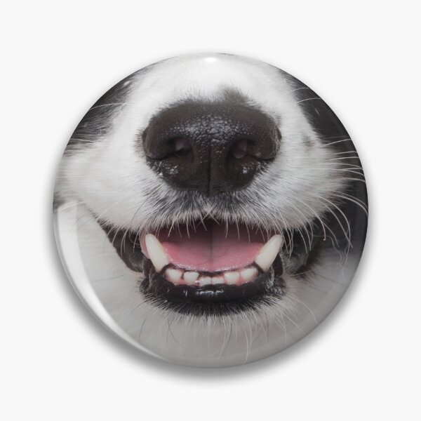 Item preview, Border Collie Dog Nose and Mouth ~ Cute and Funny Animal Medical Face Masks ~ 16 designed and sold by Neon-Wolf.