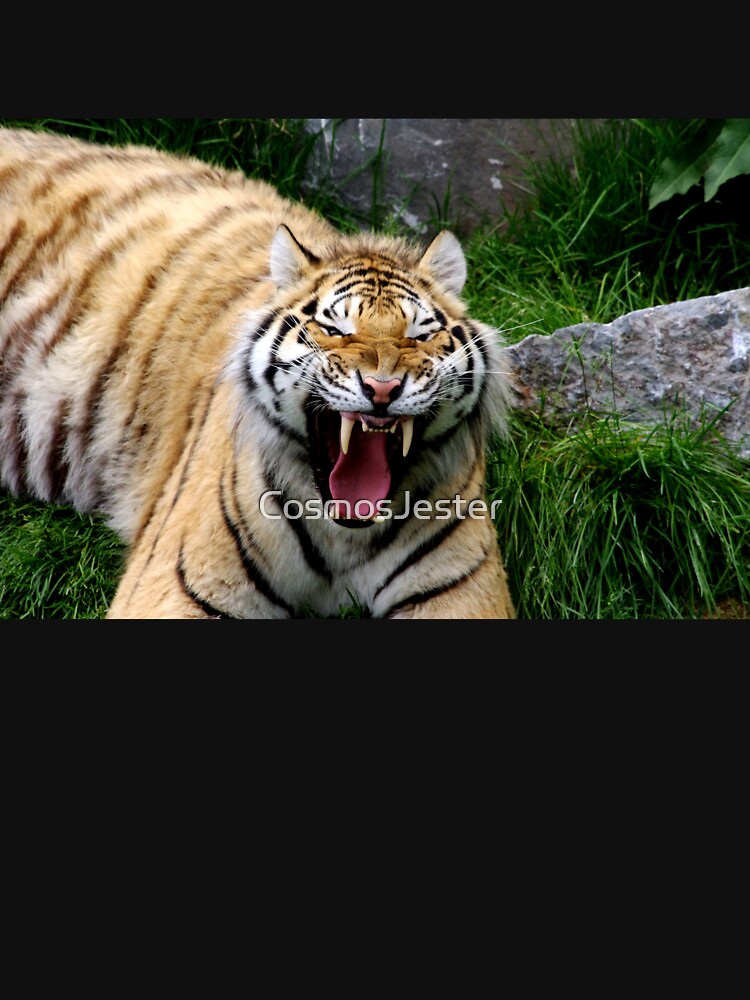 Yawning tiger 2 by CosmosJester