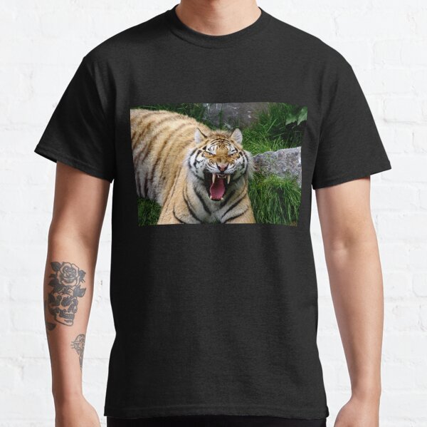 Yawning tiger 2 Classic T-Shirt