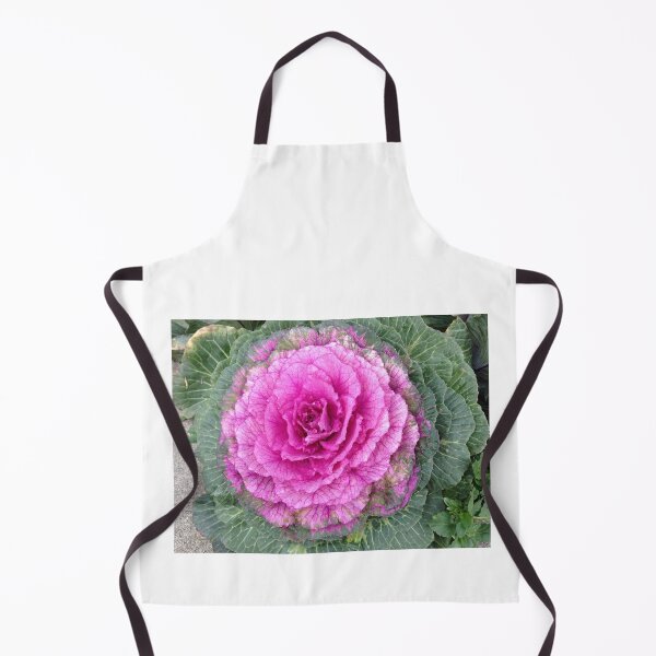 Item preview, Huge pink decorative cabbage plant - WelshDesigns designed and sold by welshdesigns.