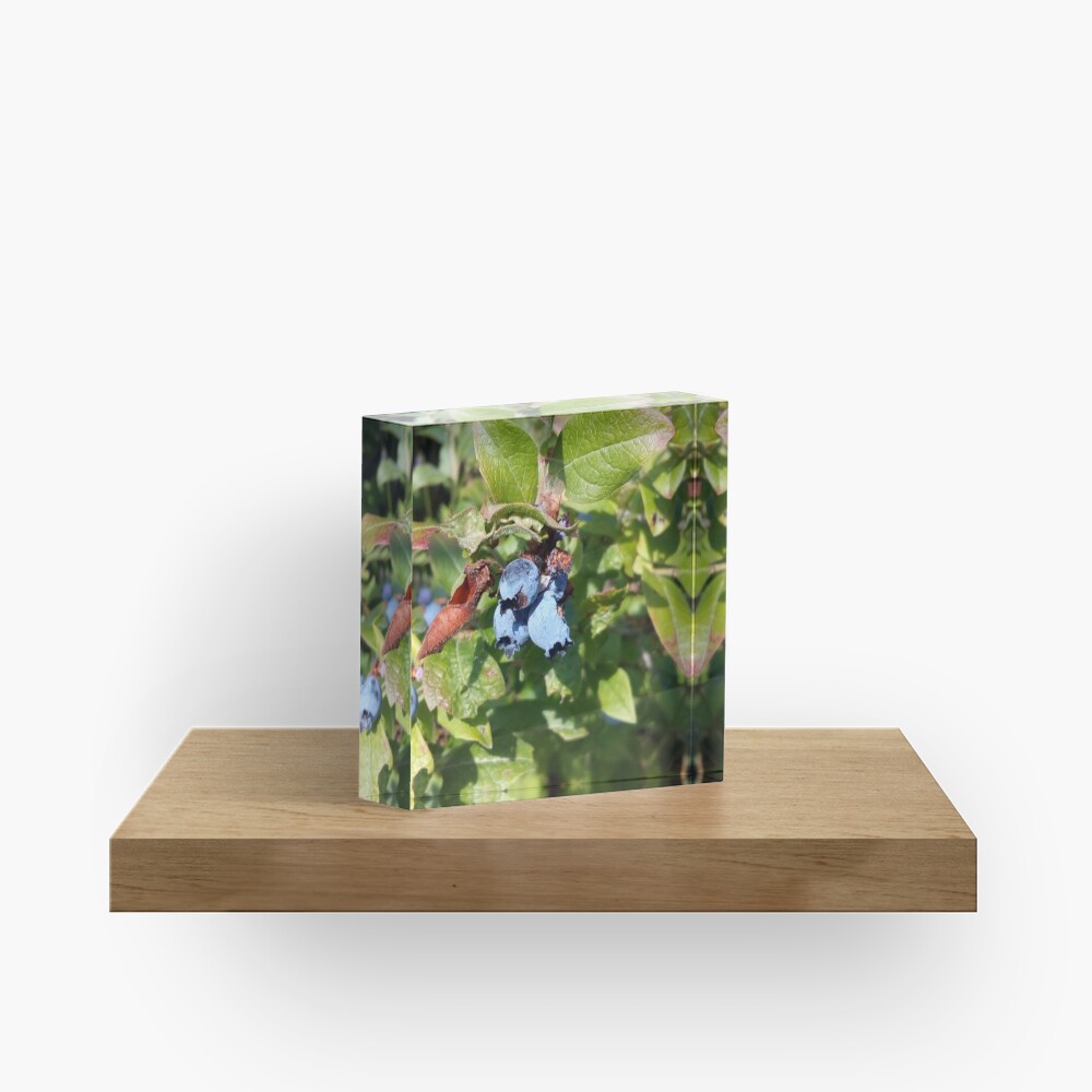 Blueberries past their prime Acrylic Block