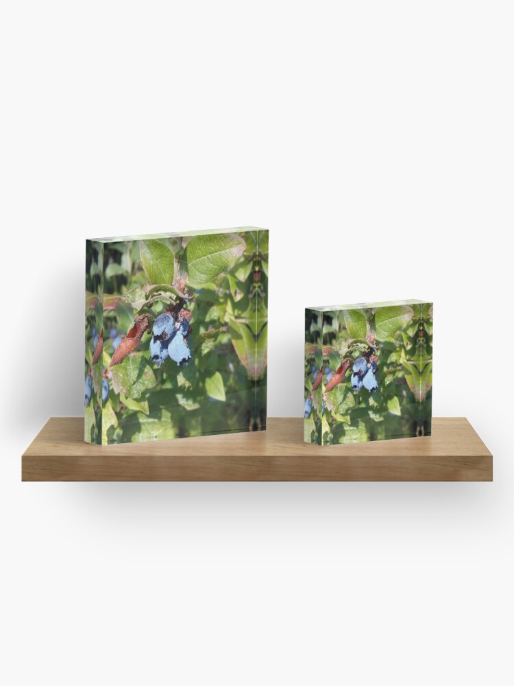 Alternate view of Blueberries past their prime Acrylic Block