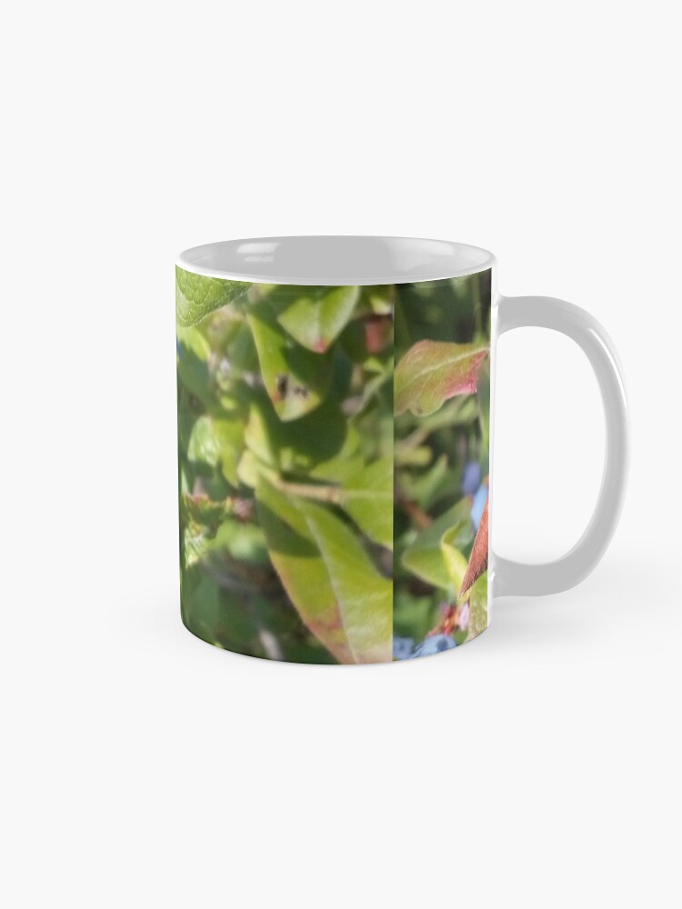 Alternate view of Blueberries past their prime Mug