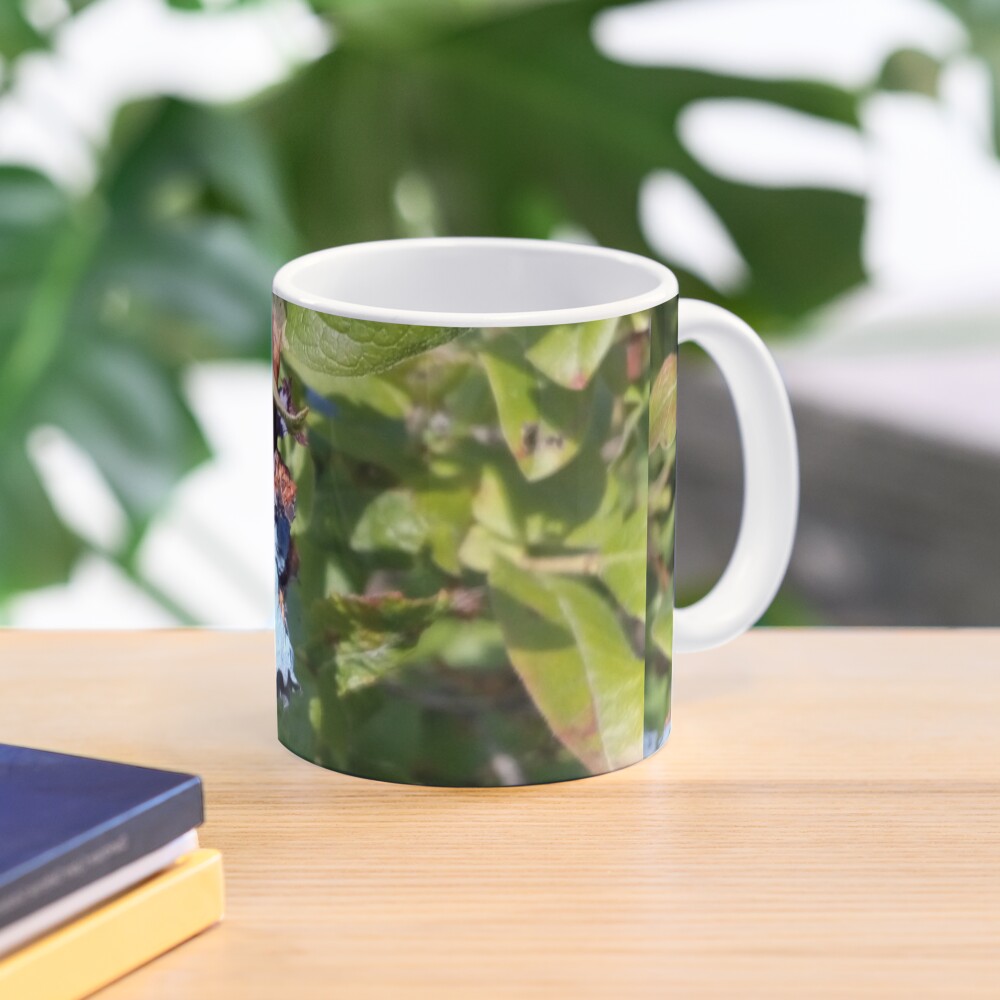 Blueberries past their prime Mug