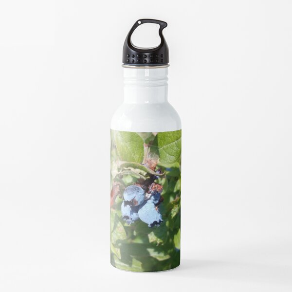 Blueberries past their prime Water Bottle