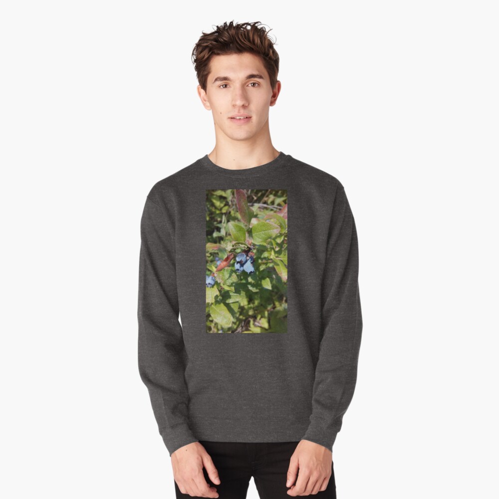 Blueberries past their prime Pullover Sweatshirt