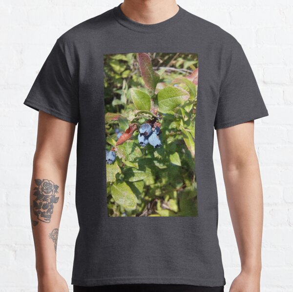 Blueberries past their prime Classic T-Shirt