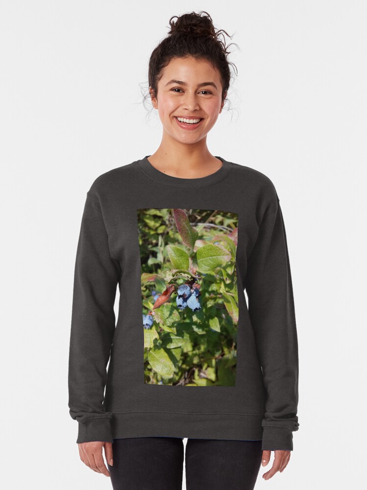Alternate view of Blueberries past their prime Pullover Sweatshirt