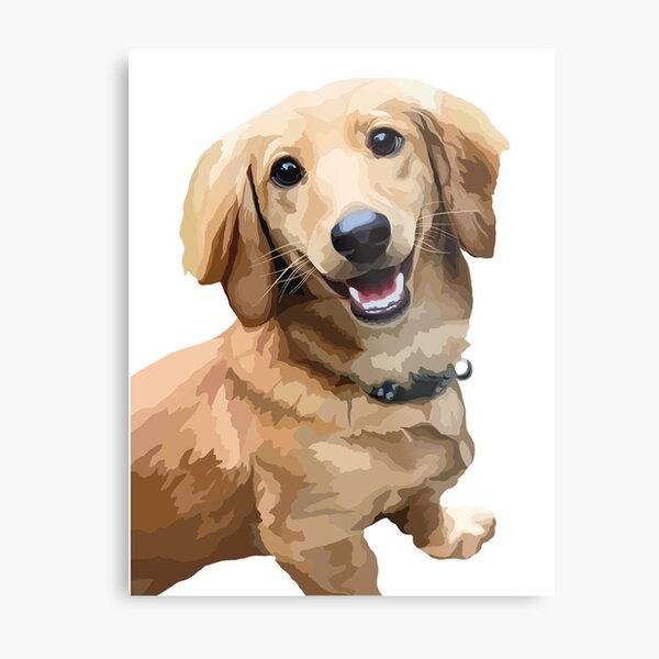 Darla Metal Prints Redbubble