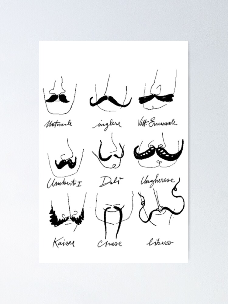 Types Of Mustache - Funny Mustache Types Of Mustache - Funny Mustache