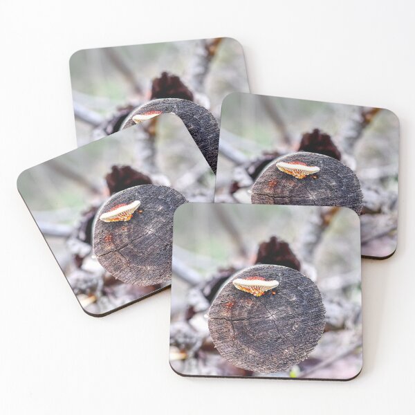 Item preview, An Emerging Fungus designed and sold by JenGo Creative.