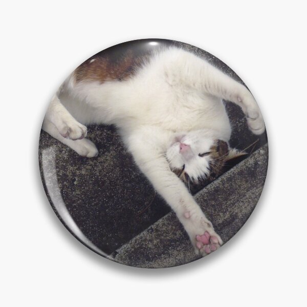 Item preview, Max at play designed and sold by Roz McQuillan Fine Art & Photography.