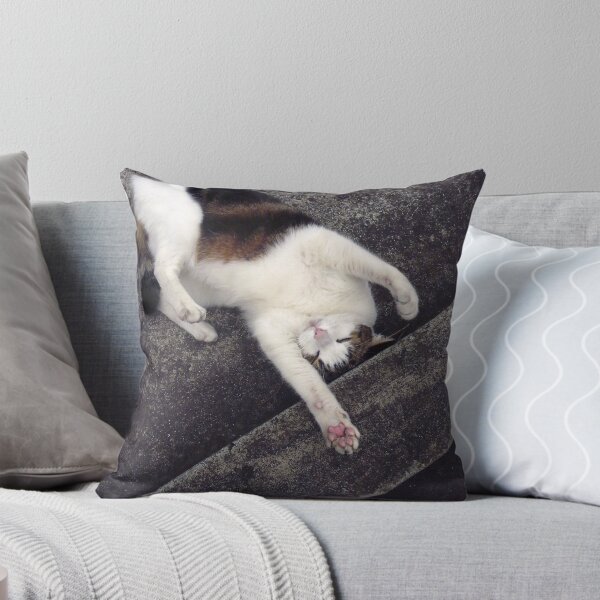 Item preview, Max at play designed and sold by Roz McQuillan Fine Art & Photography.