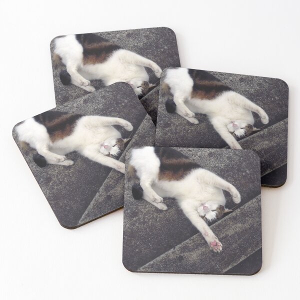 Item preview, Max at play designed and sold by Roz McQuillan Fine Art & Photography.