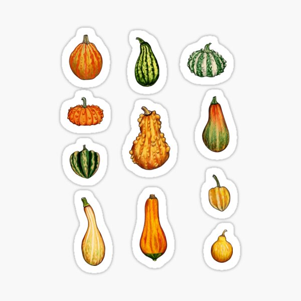 Item preview, Ornamental Gourds for Autumn, Fall, Thanksgiving designed and sold by somecallmebeth.