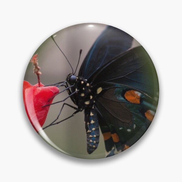 Item preview, Swallowtail designed and sold by Jacquelie.