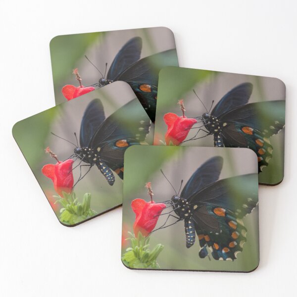 Item preview, Swallowtail designed and sold by Jacquelie.