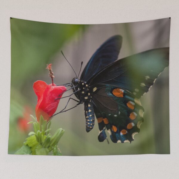 Item preview, Swallowtail designed and sold by Jacquelie.