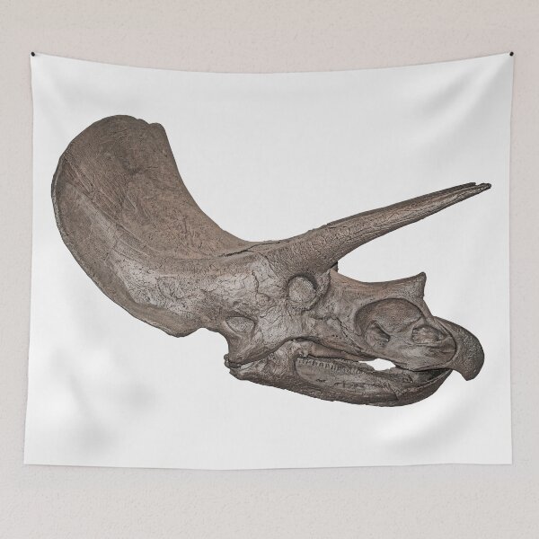 Item preview, Triceratops Dinosaur Fossil Skull designed and sold by Jim Plaxco.