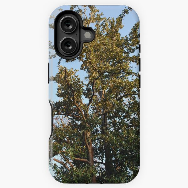 Item preview, Living Oak designed and sold by Hether McCuistion.