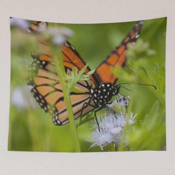 Item preview, Butterfly Whisperer designed and sold by Jacquelie.