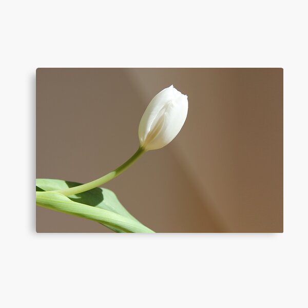 Item preview, Upwards designed and sold by dgscotland.