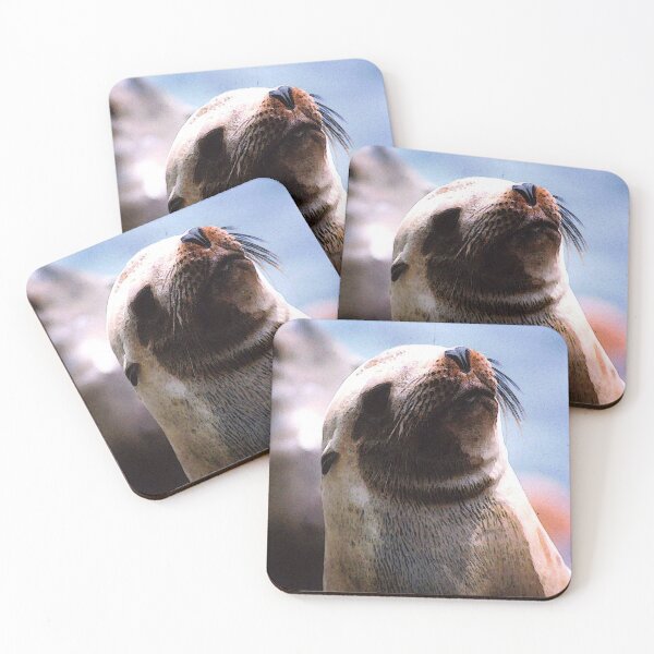 Item preview, California Sea Lion designed and sold by Oak Mountain.