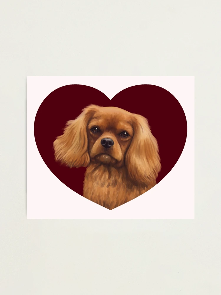  Cavalier King Charles Spaniel NOTE CARDS Ruby color : Handmade  Products
