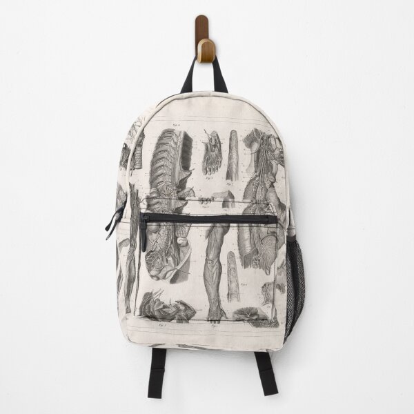 Item preview, 1857 Diagram Anatomy including the Nerves designed and sold by Gin  Neko.